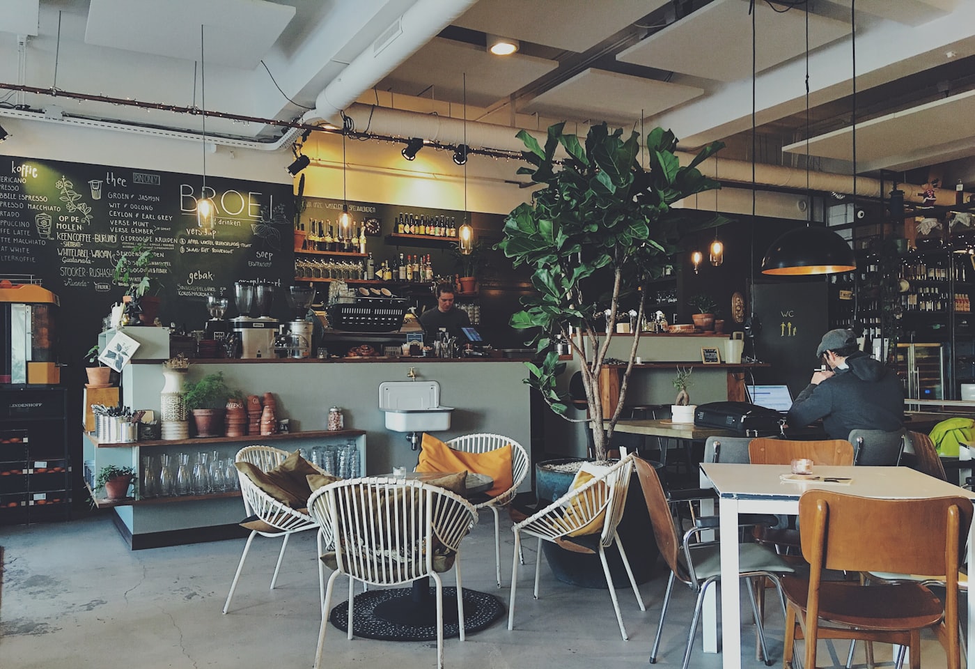 The warm Maple & Rye café interior with a wood counter, plants, and chalkboard menu